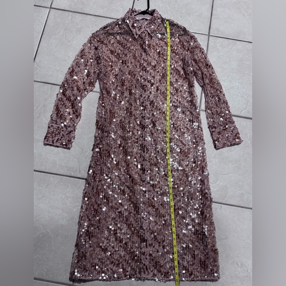 Pink Sequin Long Sleeve Zara Dress